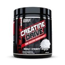 NT CREATINE DRIVE BLACK 300 GRS