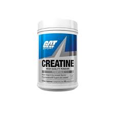GAT CREATINE MONOHYDRATE 300 GRS